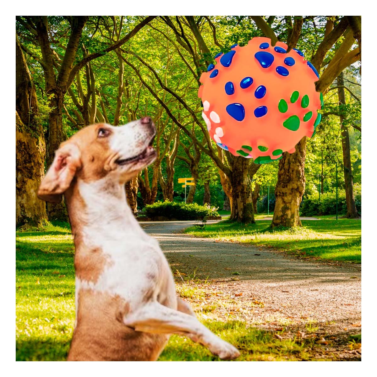 ARTICULO CON HUELLITAS DE PLASTICO M COLOR NARANJA PARA MASCOTAS - 2