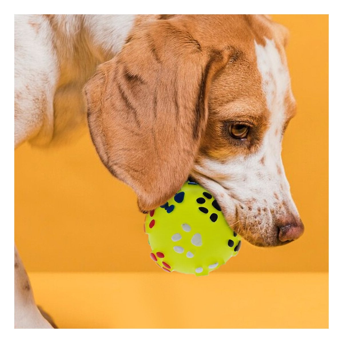 PELOTA AMARILLO CON HUELLITAS DE PLASTICO M PARA PERRO JUGUETE RESISTENTE - 1