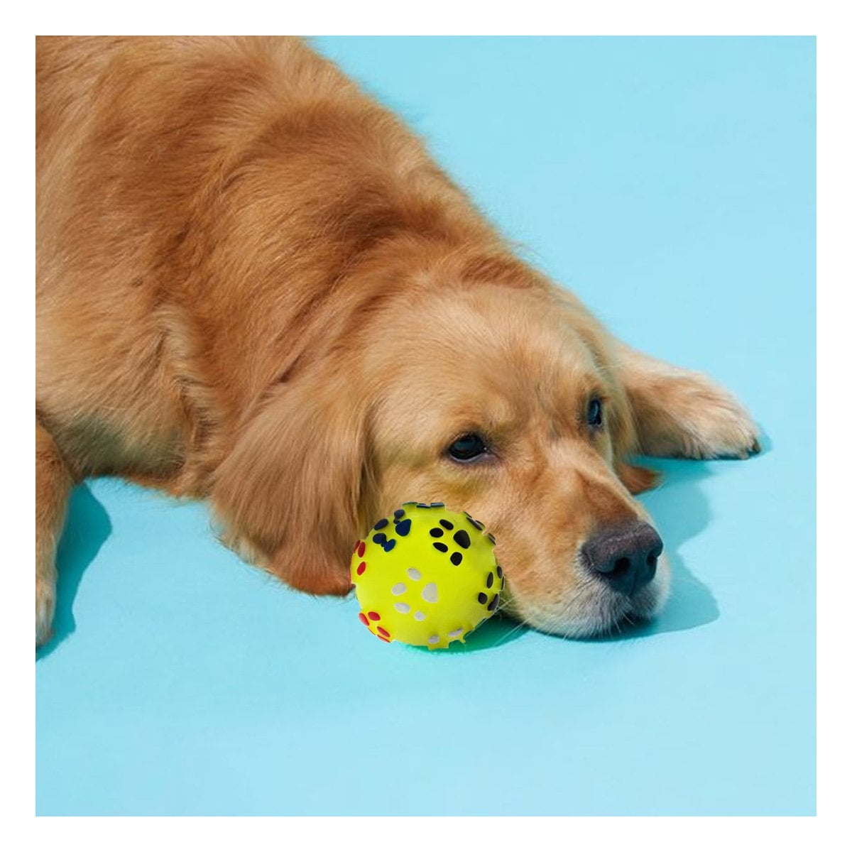 PELOTA AMARILLO CON HUELLITAS DE PLASTICO M PARA PERRO JUGUETE RESISTENTE - 2