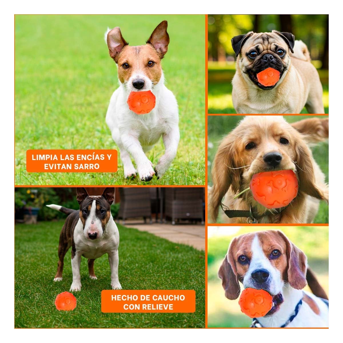 ARTICULO CON HUESOS COLOR ANARANJADO PARA MASCOTAS EN HOGAR - 5