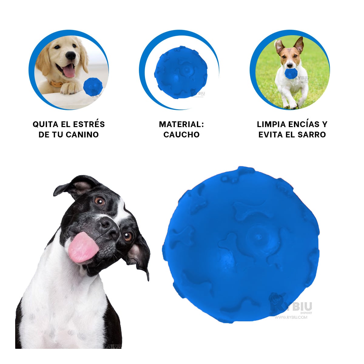 PELOTA CON DISEÑO DE HUESOS PARA PERRO EN COLOR AZUL - 2