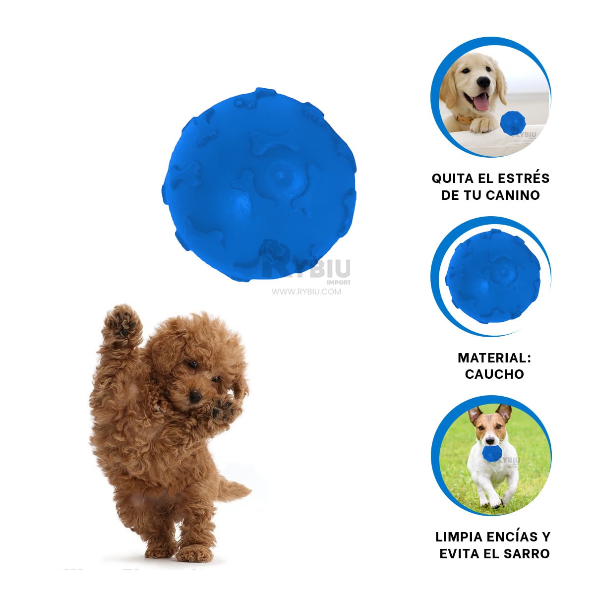 PELOTA CON DISEÑO DE HUESOS PARA PERRO EN COLOR AZUL - 4