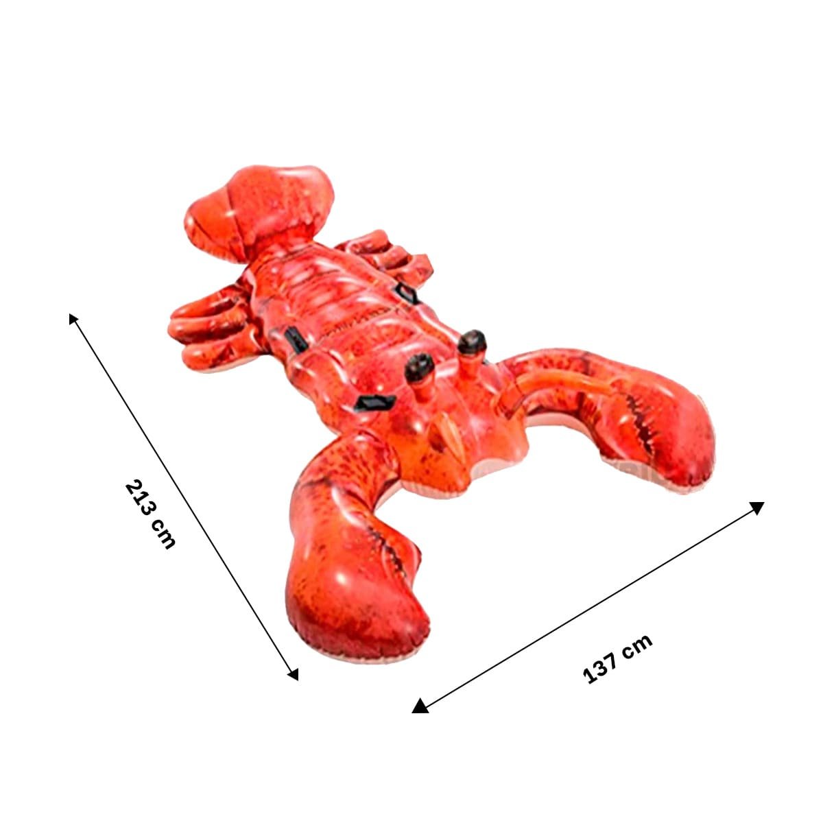 FLOTADOR INFLABLE LANGOSTA 213 X 137 CM PARA JUEGOS EN AGUA Y+PAPEL REGALO - 4
