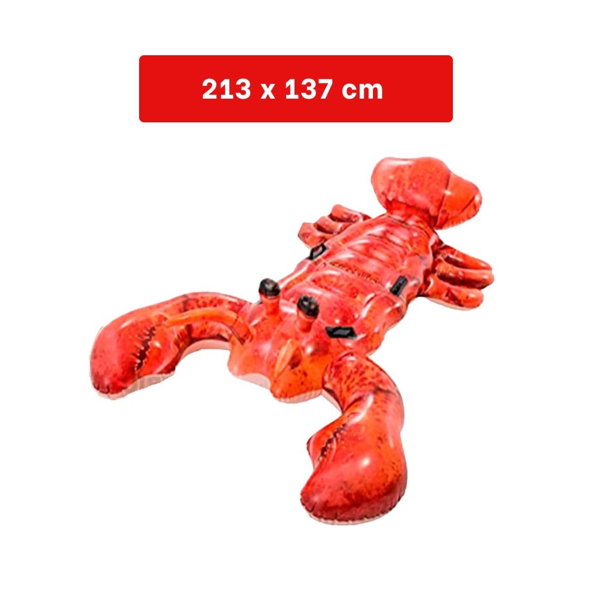 FLOTADOR ACUATICO LANGOSTA 213 X 137 CM PARA PISCINA INFANTIL Y+REGALO STICKER - 4