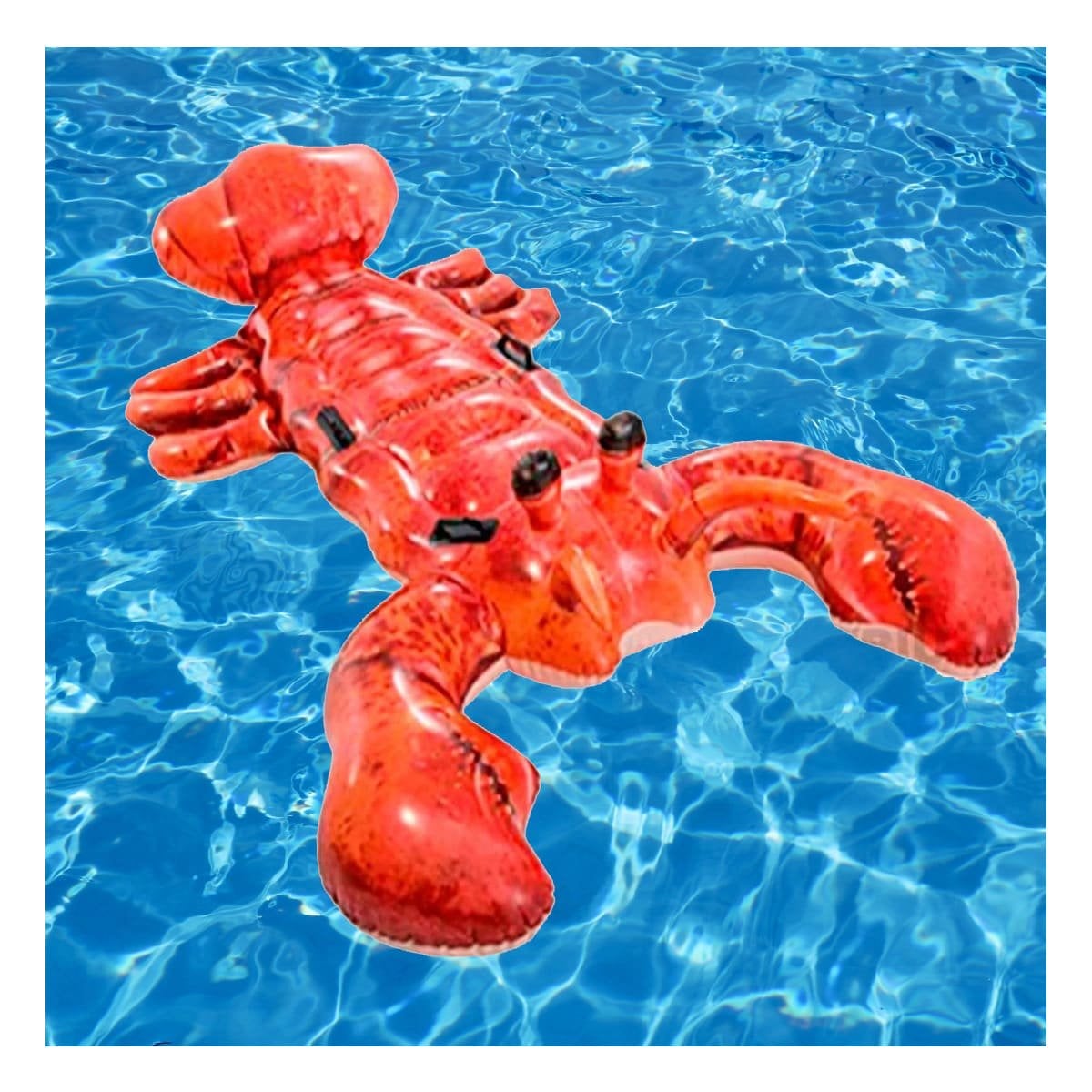 FLOTADOR ACUATICO LANGOSTA 213 X 137 CM PARA PISCINA INFANTIL Y+REGALO STICKER - 5