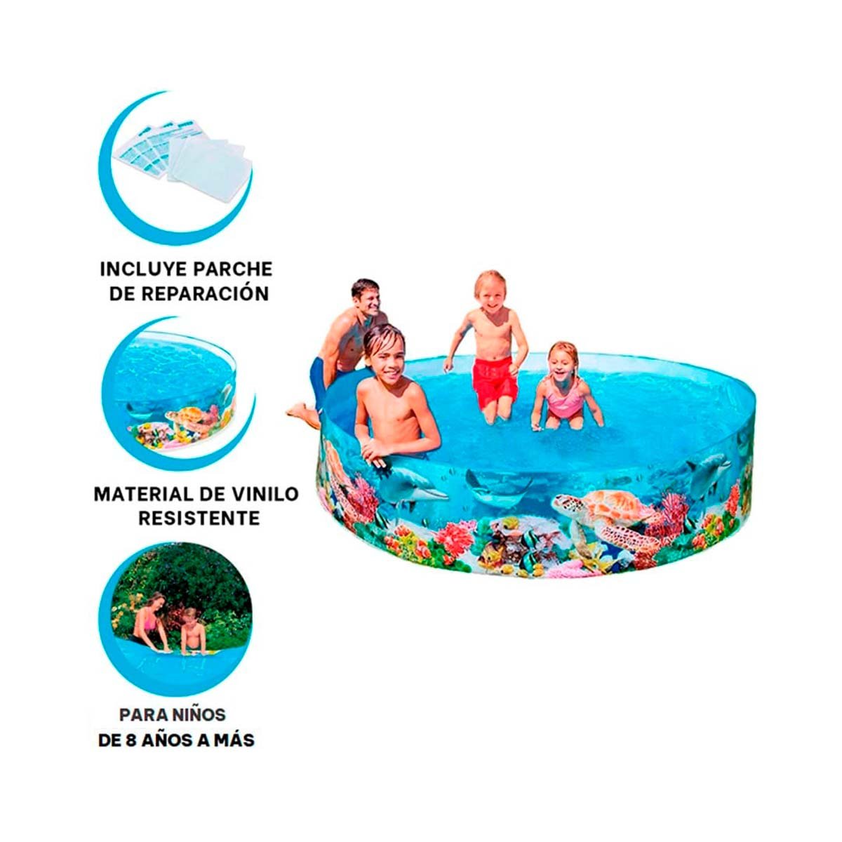 ALBERCA INFLABLE CON DISENO DELFIN PARA CASA Y EXTERIOR EN DIAS DE CALOR - 3