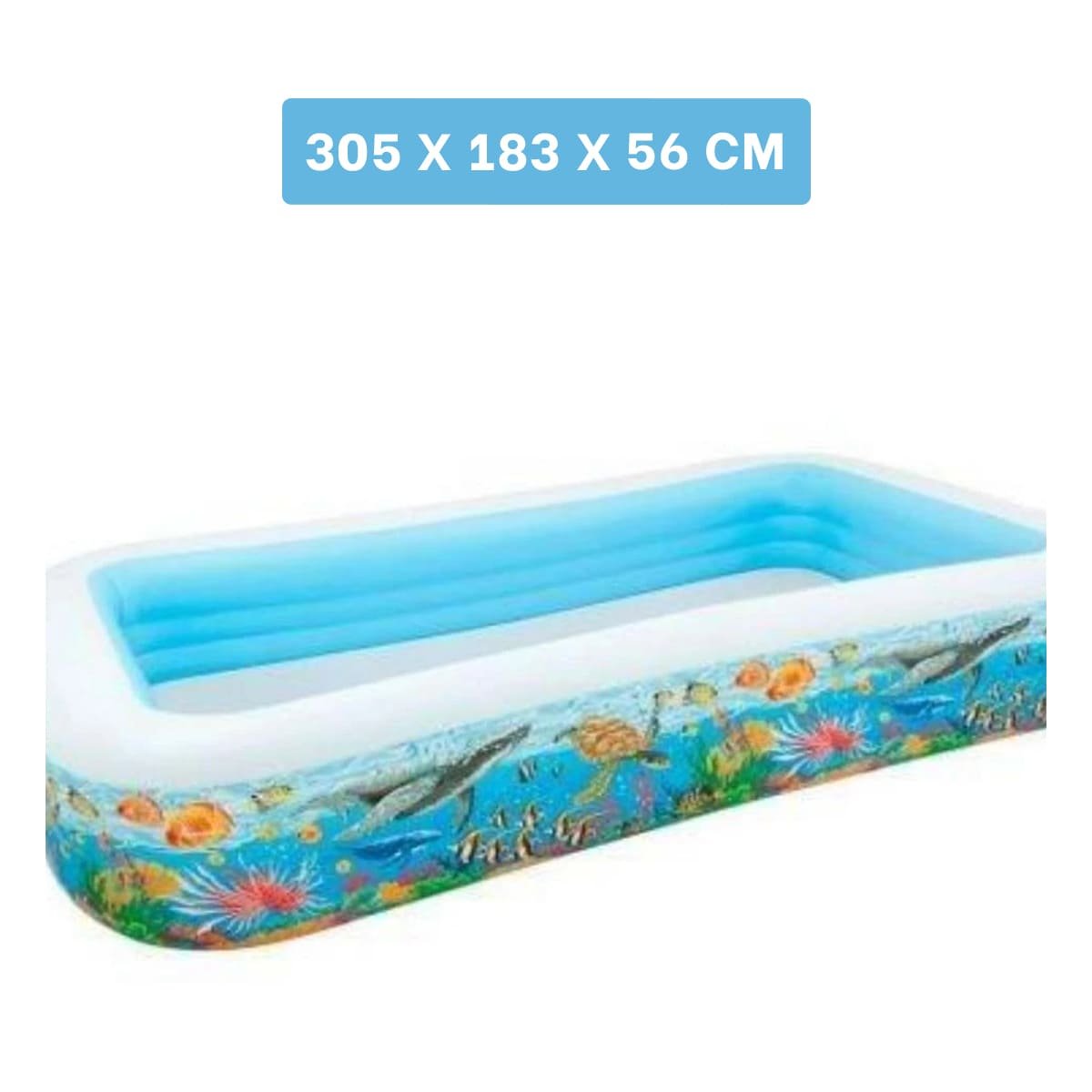 ESTANQUE TROPICAL PARA JARDIN CON AMBIENTE ACUATICO Y RECREACION EN CASA - 4