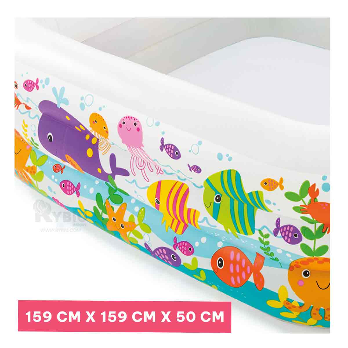 PISCINA VACACIONES PARA USAR EN EL PATIO Y+REGALO AGENDITA - 2