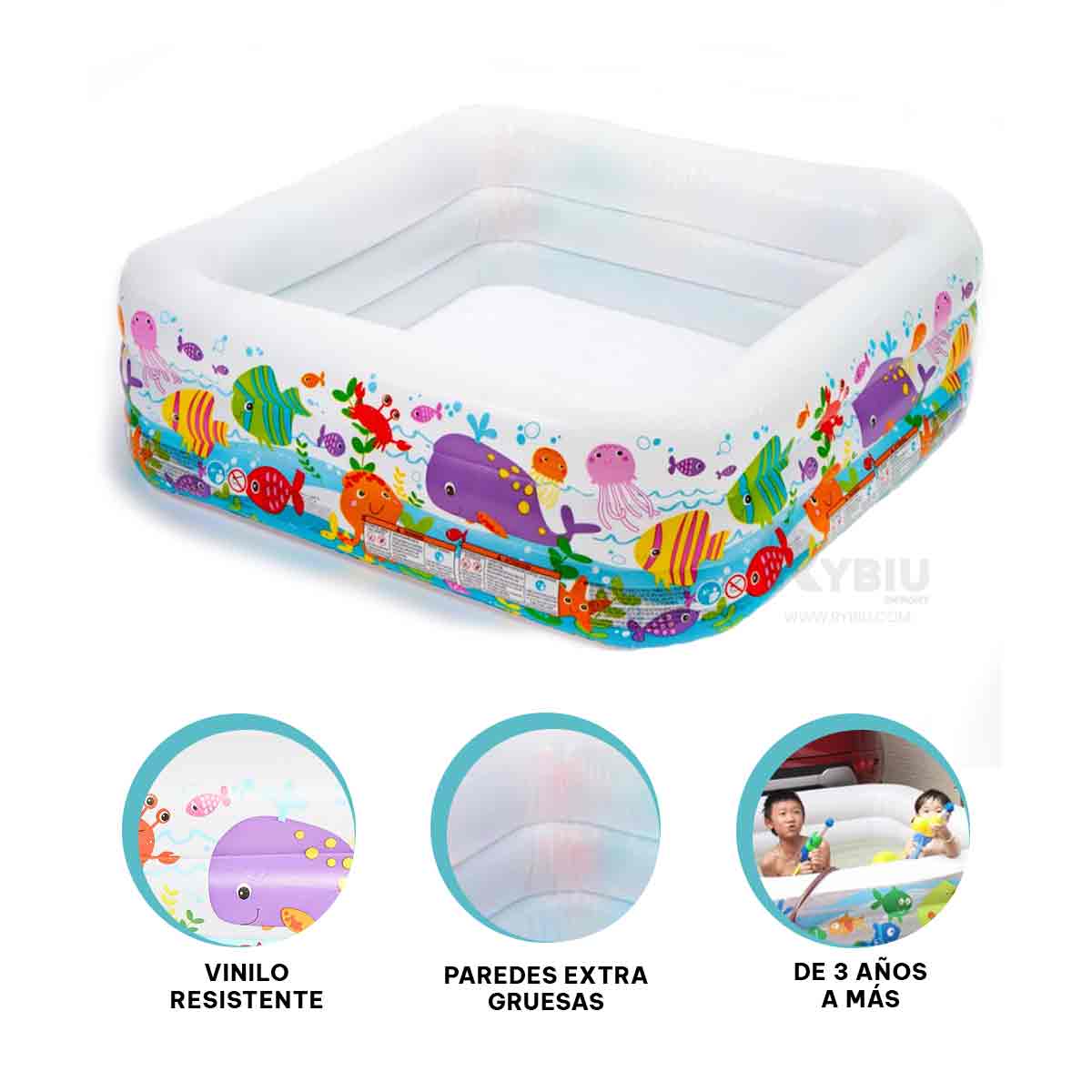 PISCINA VACACIONES PARA USAR EN EL PATIO Y+REGALO AGENDITA - 3