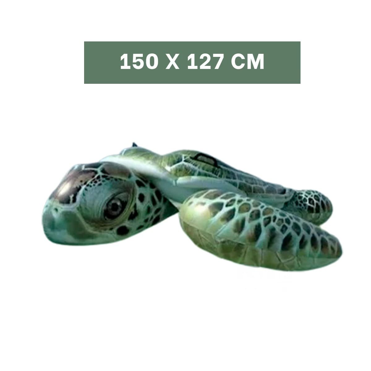 INFLABLE INFANTIL TORTUGA 150 X 127 CM PARA PISCINA Y PLAYA - 4