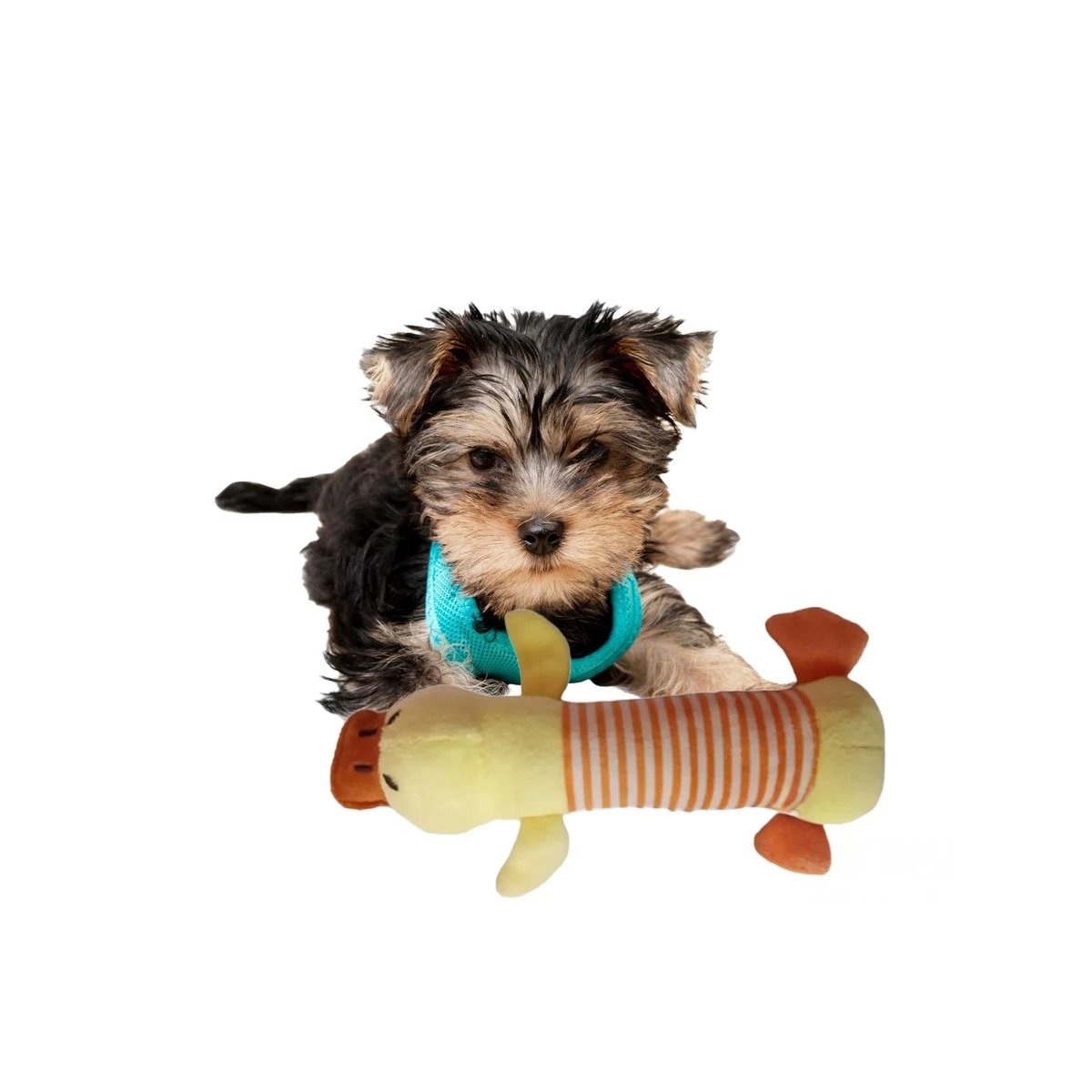 JUGUETE MASTICABLE PERROS MA29951 RYBIU SUAVE CON PICO TONO MARRON +STICKERS - 3