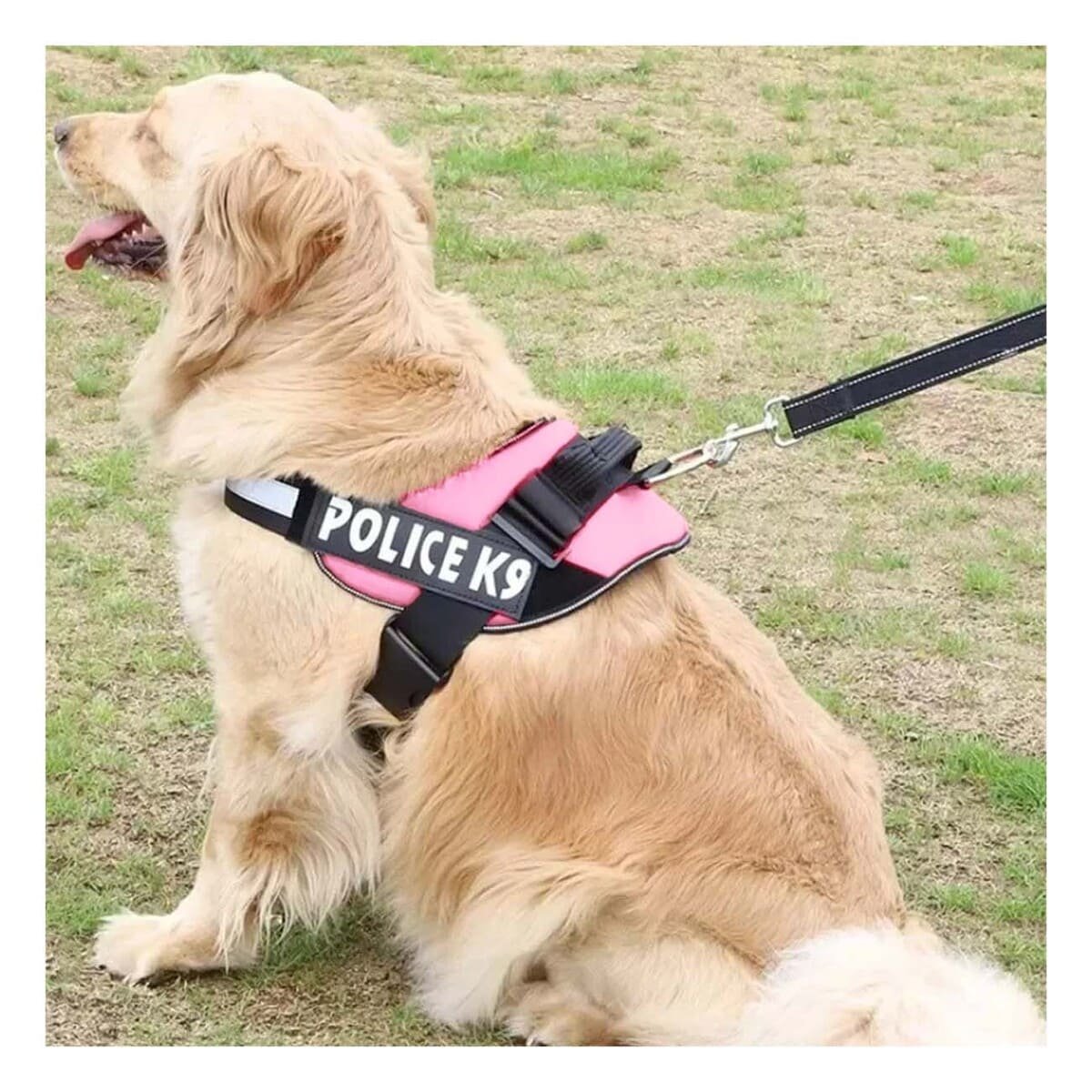 SOGA PERROS MA30988 RYBIU PARA IDEAL EN ROSADO XXL Y+POST-IT ADHESIVOS - 3