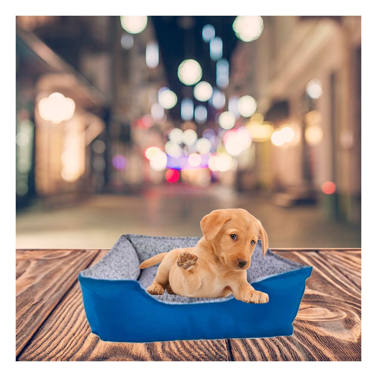 CAMA PERROS MA31051 RYBIU LECHO ESPACIOSO AZUL TALLA XXL + POSTIT ADHESIVOS - 2