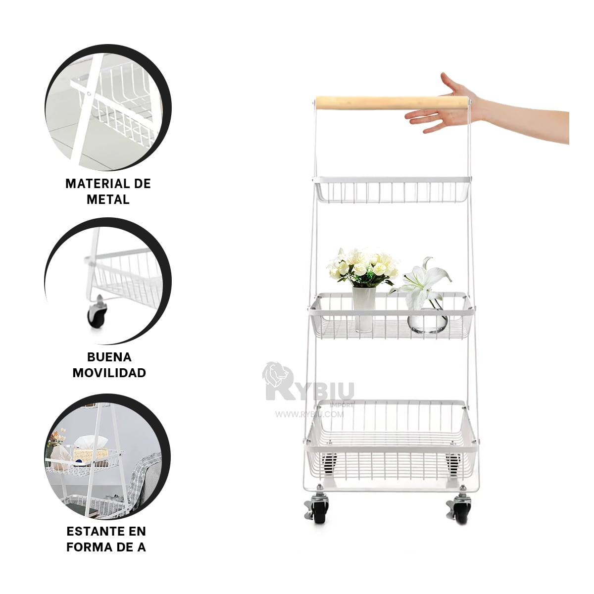 CLASIFICADOR UTIL EN TONO BLANCO Y+REGALO LIGAS PARA PEINAR - 4
