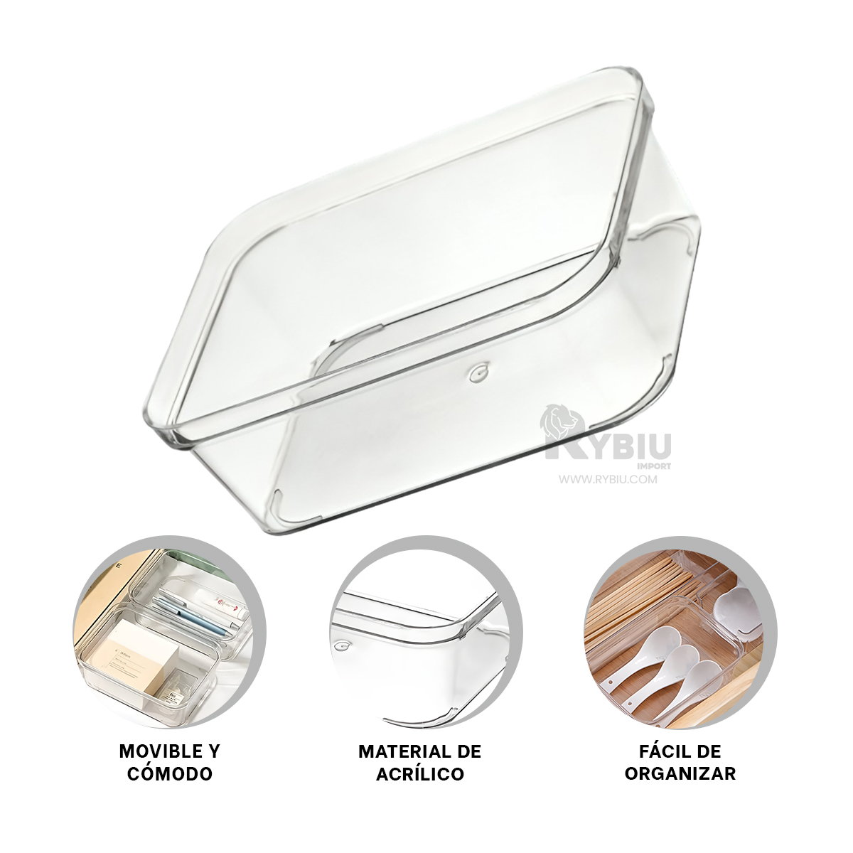SET CLASIFICADOR RYBIU MOL1 TRANSPARENTE EFICIENTE 18.5X13.5X6.5 CM + GIFT MINIAGENDA - 3