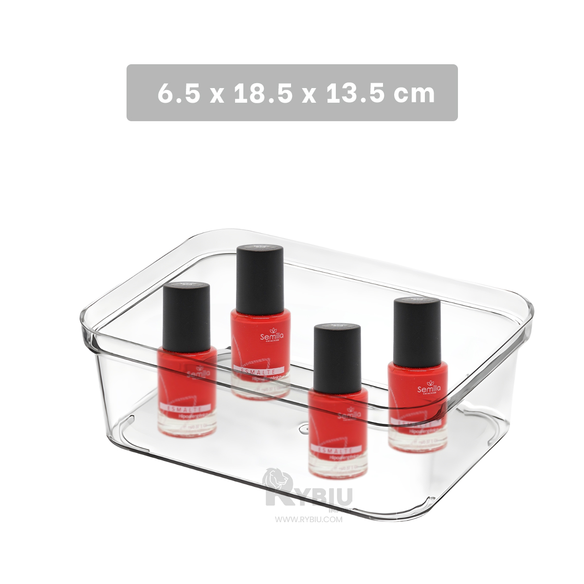 SET CLASIFICADOR RYBIU MOL1 TRANSPARENTE EFICIENTE 18.5X13.5X6.5 CM + GIFT MINIAGENDA - 5