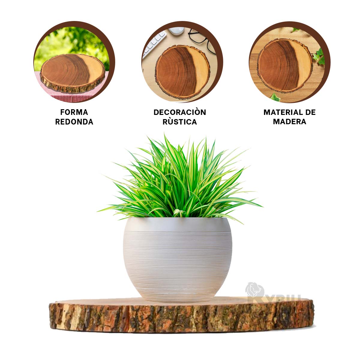 SET BANDEJA RYBIU HO32307 MADERA PORTADOR IDONEO TONO + REGALO LIGAS PEINAR - 4