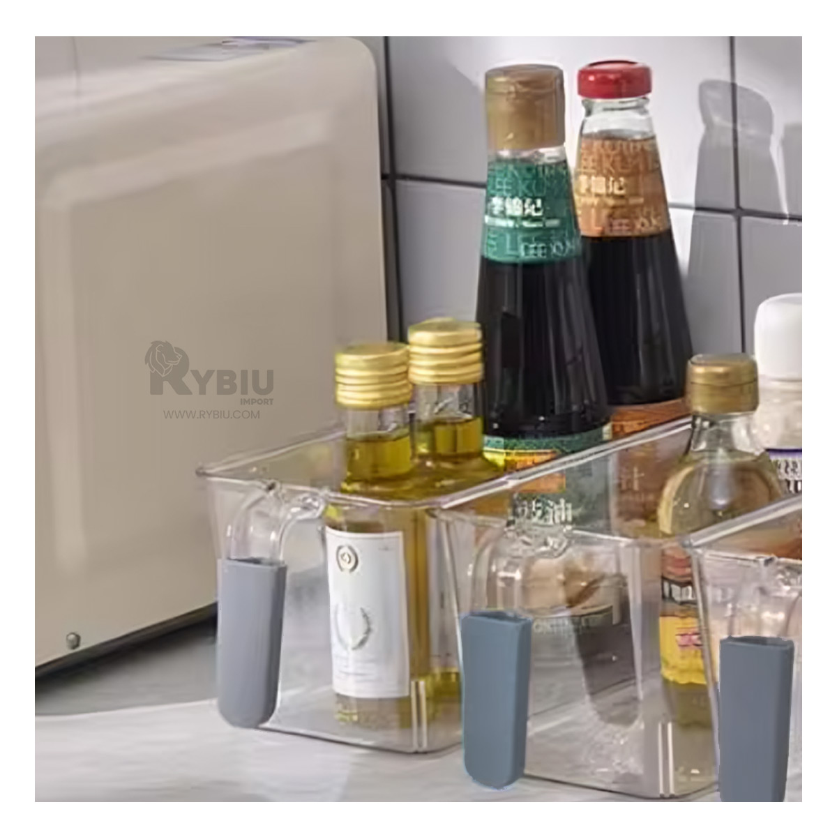 RECIPIENTE RYBIU CO30477 TRANSPARENTE TOMATES + PAPEL REGALO - 3