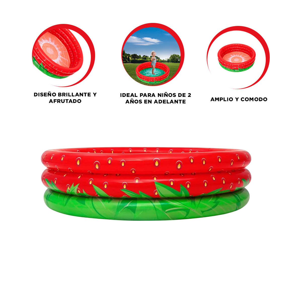 ALBERCA COMODA PARA DIAS SOLEADOS Y+ENVOLTORIO DE REGALO - 3