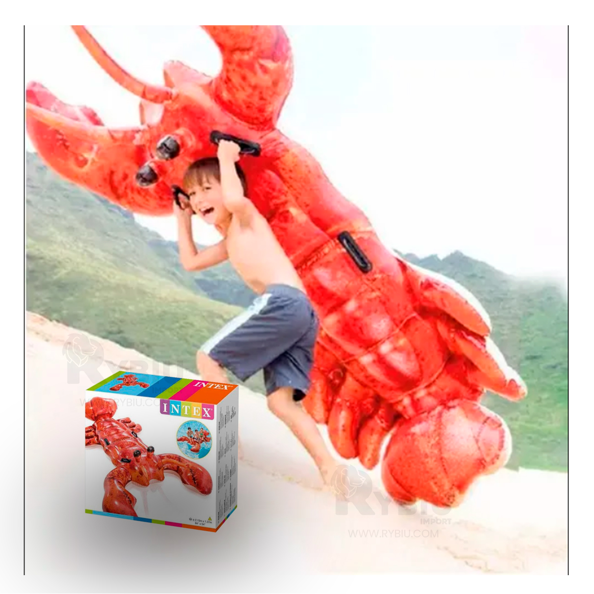 INFLABLE DE DISEÑO MODERNO DE LANGOSTA Y+REGALO AGENDITA - 2