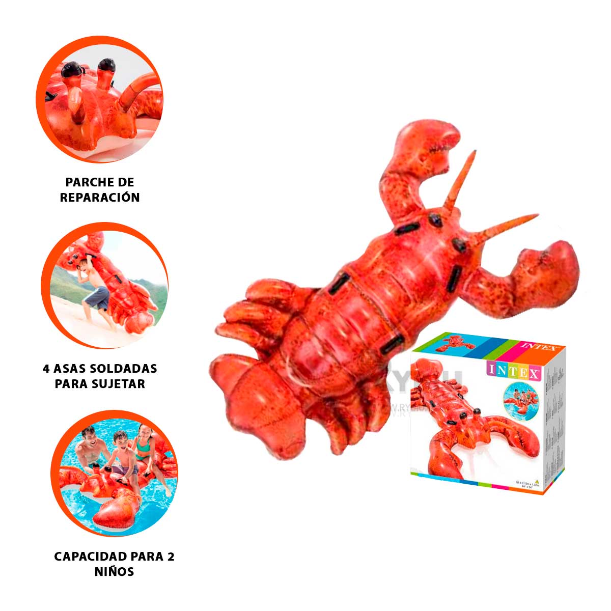 FLOTANTE UTIL ERGONOMICO LANGOSTA Y+REGALO LIGAS PARA PEINAR - 1