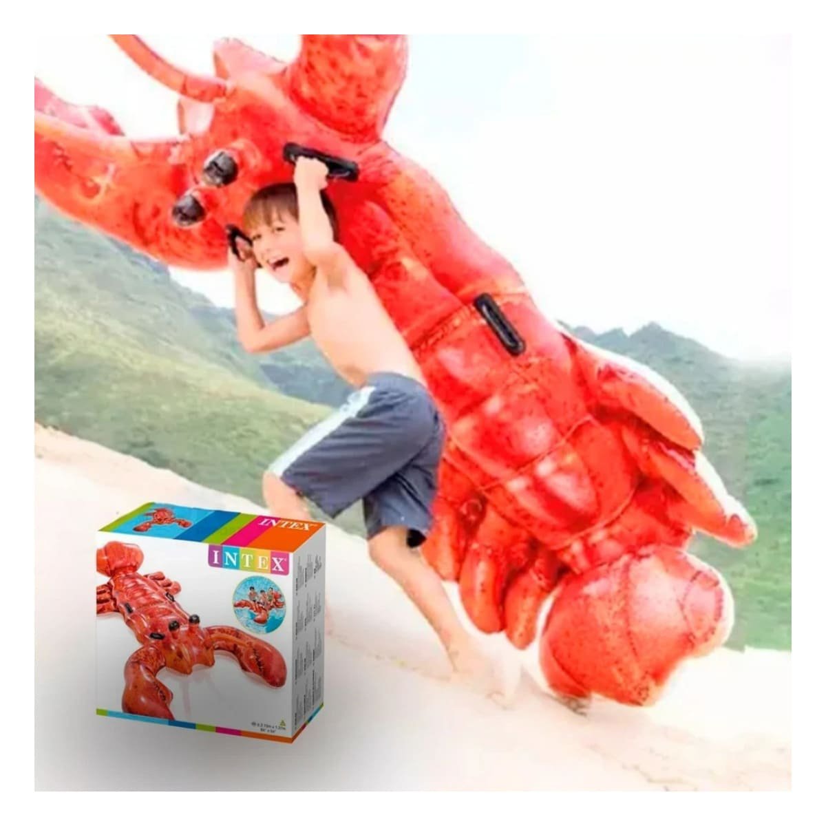 FLOTADOR INFANTIL LANGOSTA 213 X 137 CM LIGERO Y SEGURO Y+LIGAS REGALO - 2