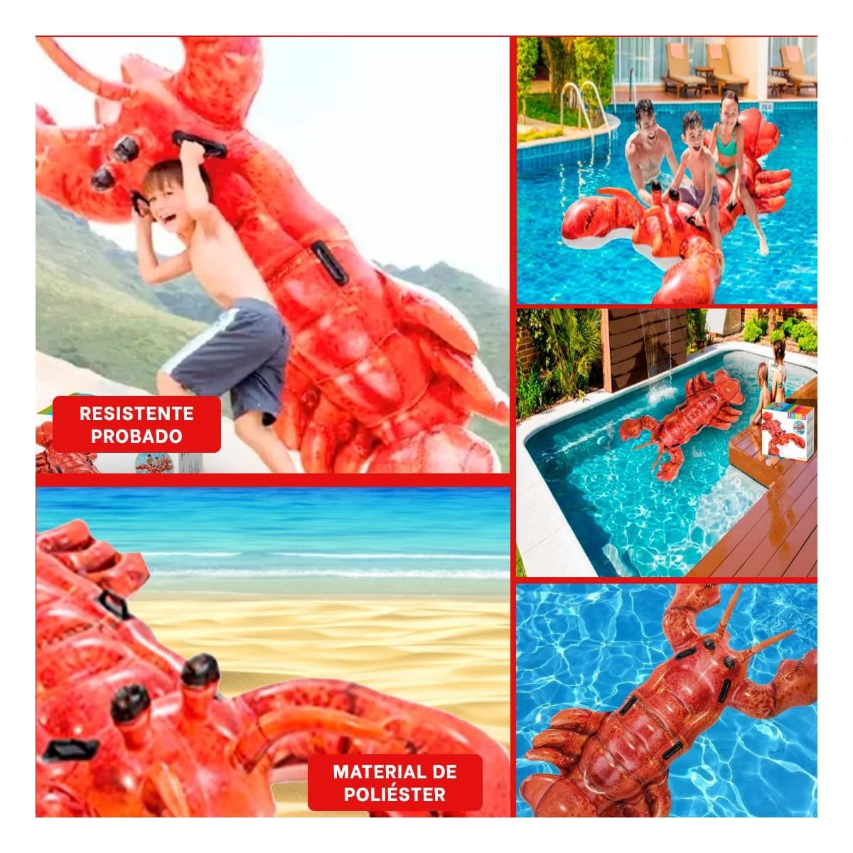 FLOTADOR INFANTIL LANGOSTA 213 X 137 CM LIGERO Y SEGURO Y+LIGAS REGALO - 5