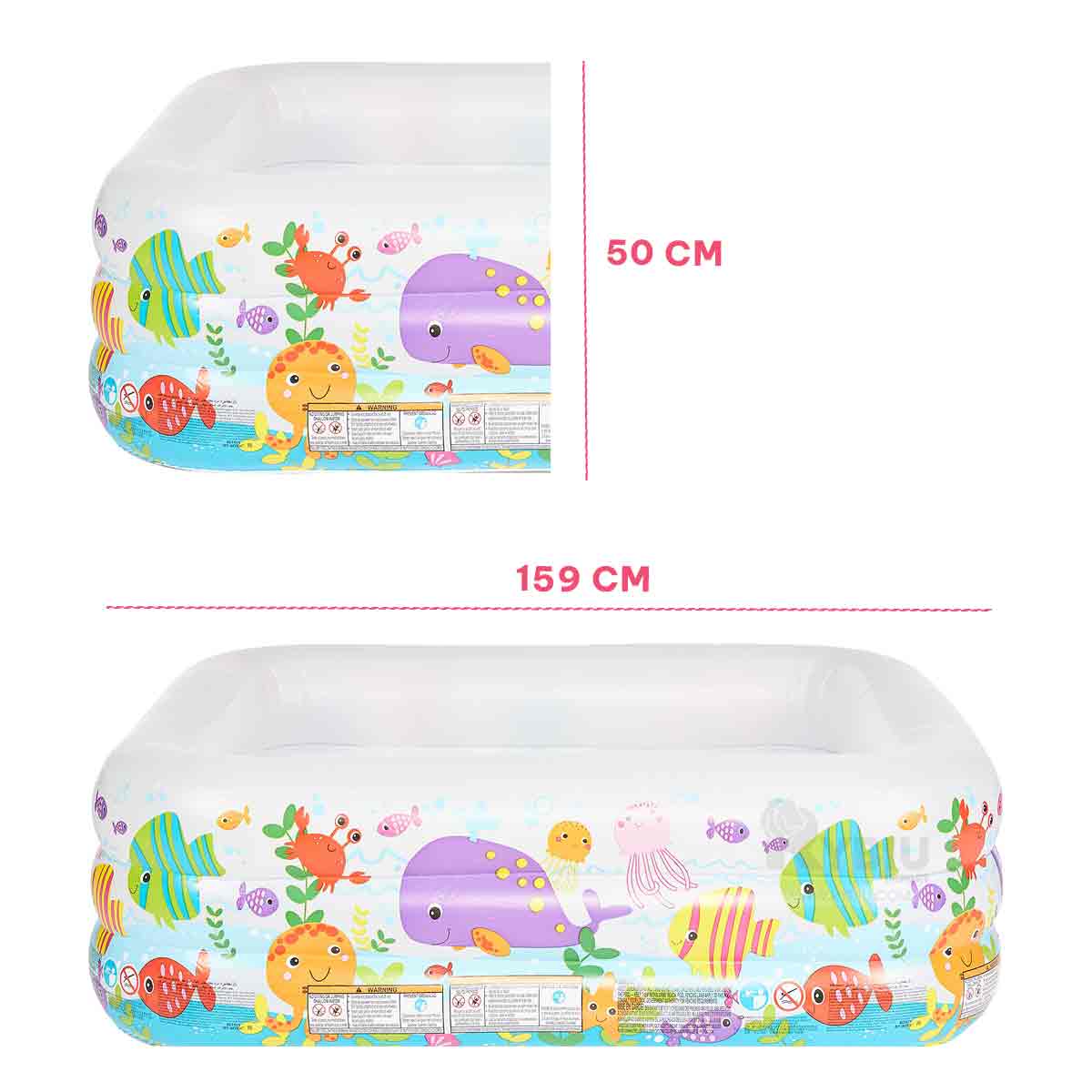 ALBERCA CON DISEÑO MODERNO Y ATRACTIVO Y+GIFT STICKERS - 5