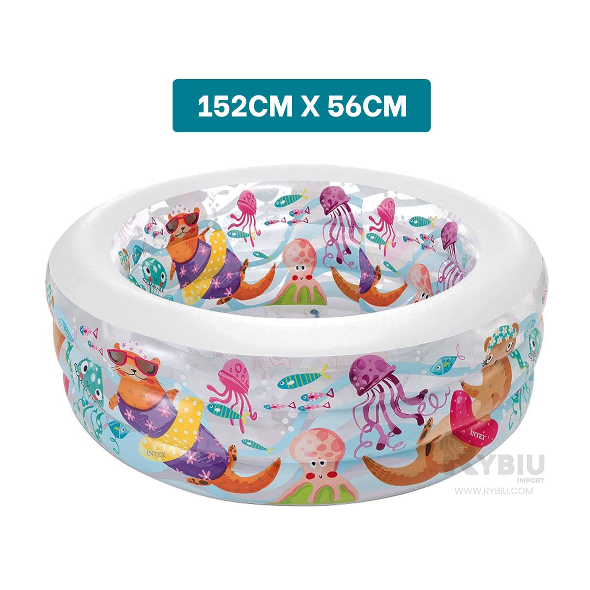 PISCINA PARA RELAJACION TOTAL EN LA PLAYA Y+PAPEL DE REGALO - 5
