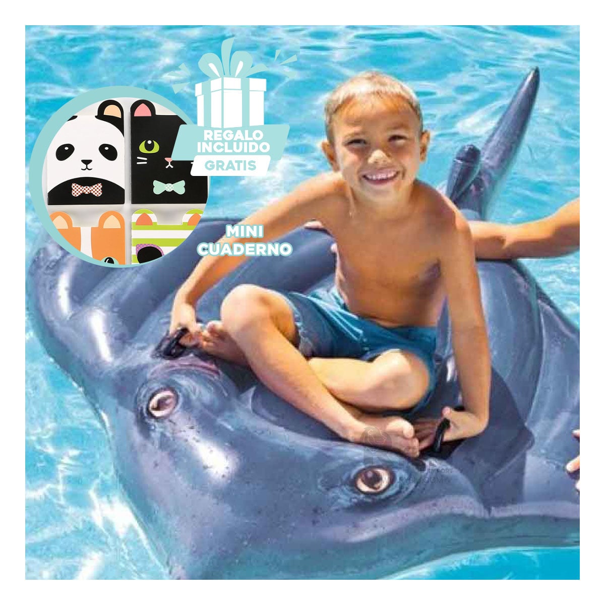 BOTE DIVERSION DE REUNIONES EN MANTARRAYA Y+REGALO AGENDITA - 1