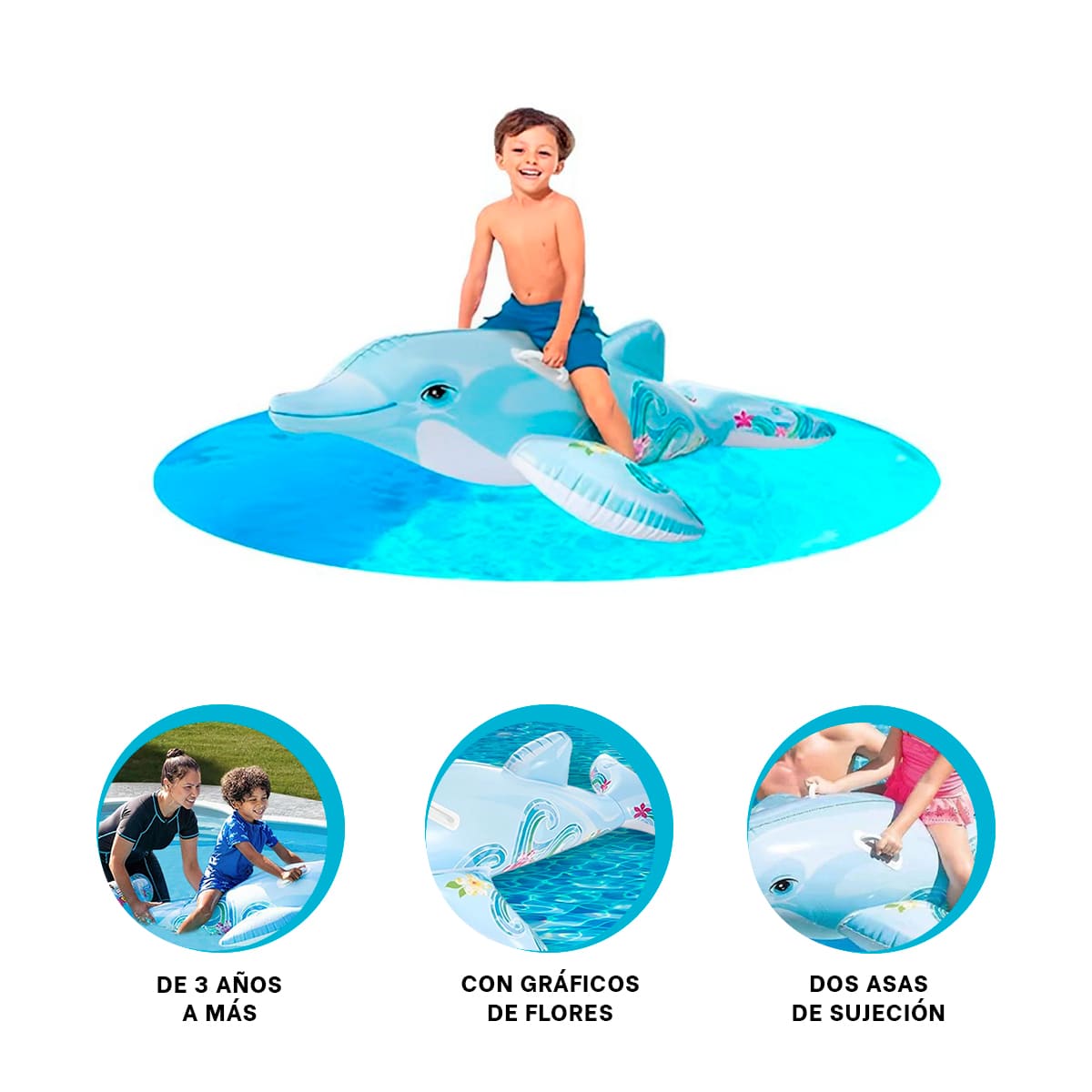 BOTE DIVERSION PARA REUNIONES EN DELFIN Y+REGALO AGENDITA - 3