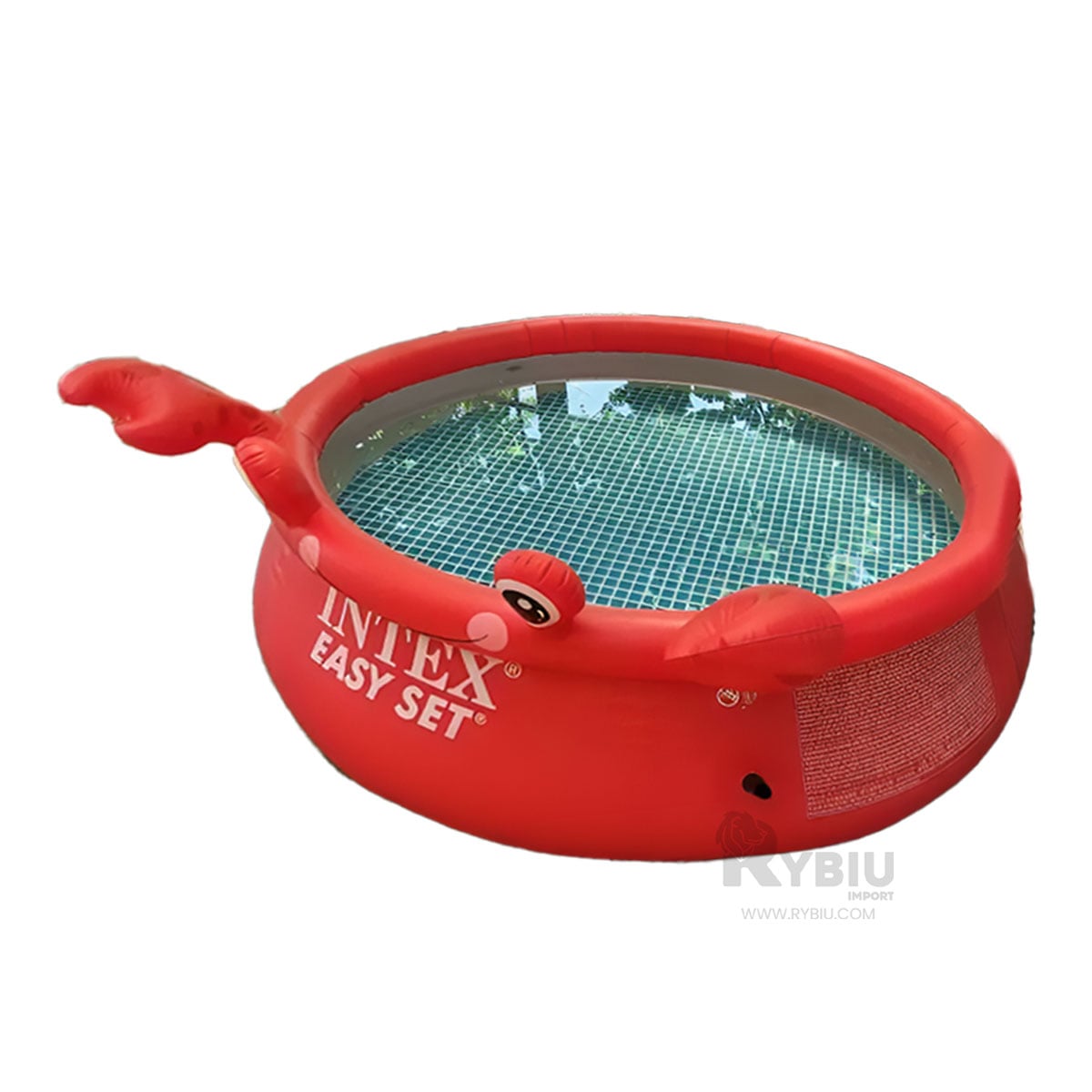 PISCINA PORTATIL PARA RELAJACION TOTAL Y+PAPEL DE REGALO - 2