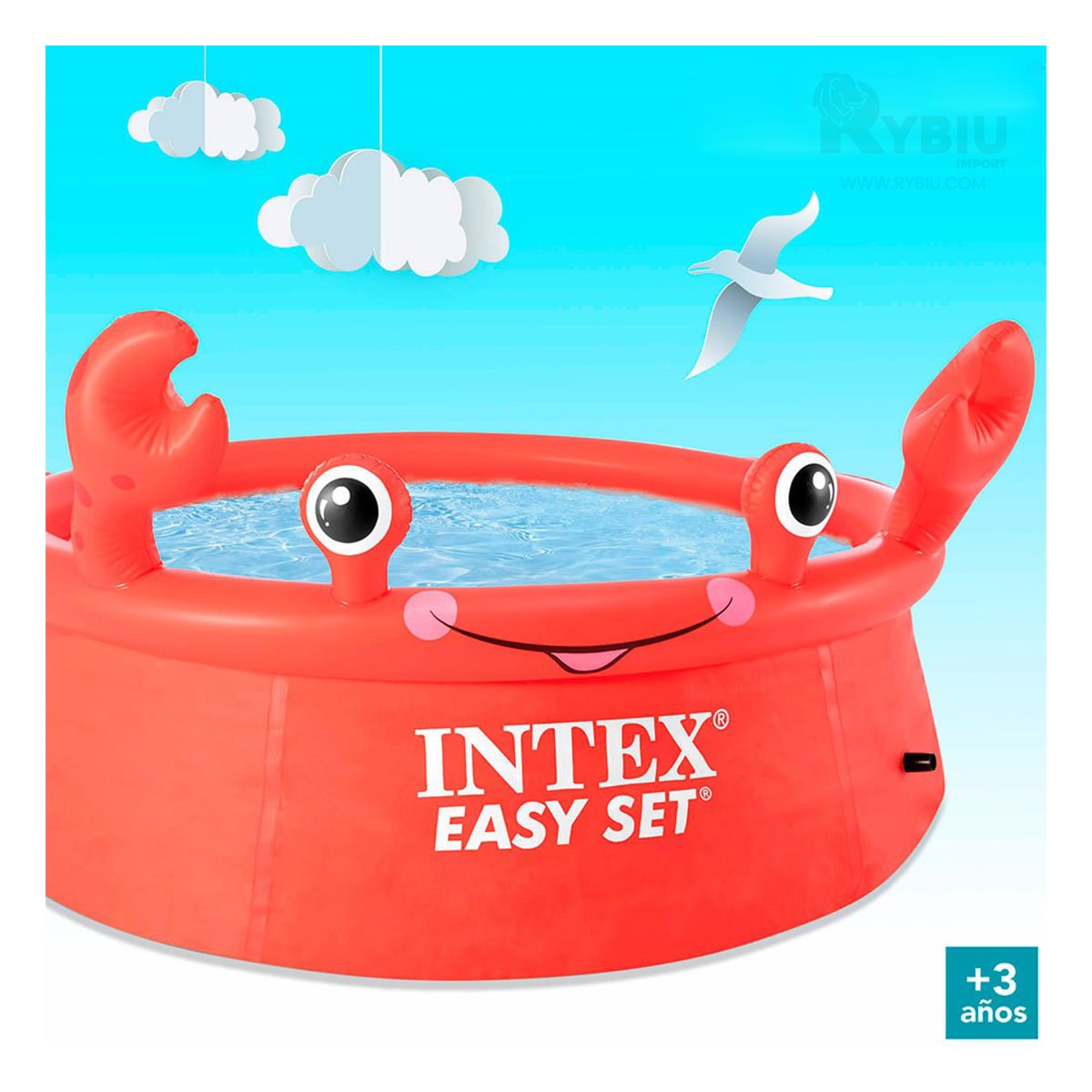 PILETA ACOLCHADA PARA NIÑOS Y+REGALO LIGAS PARA PEINAR - 4