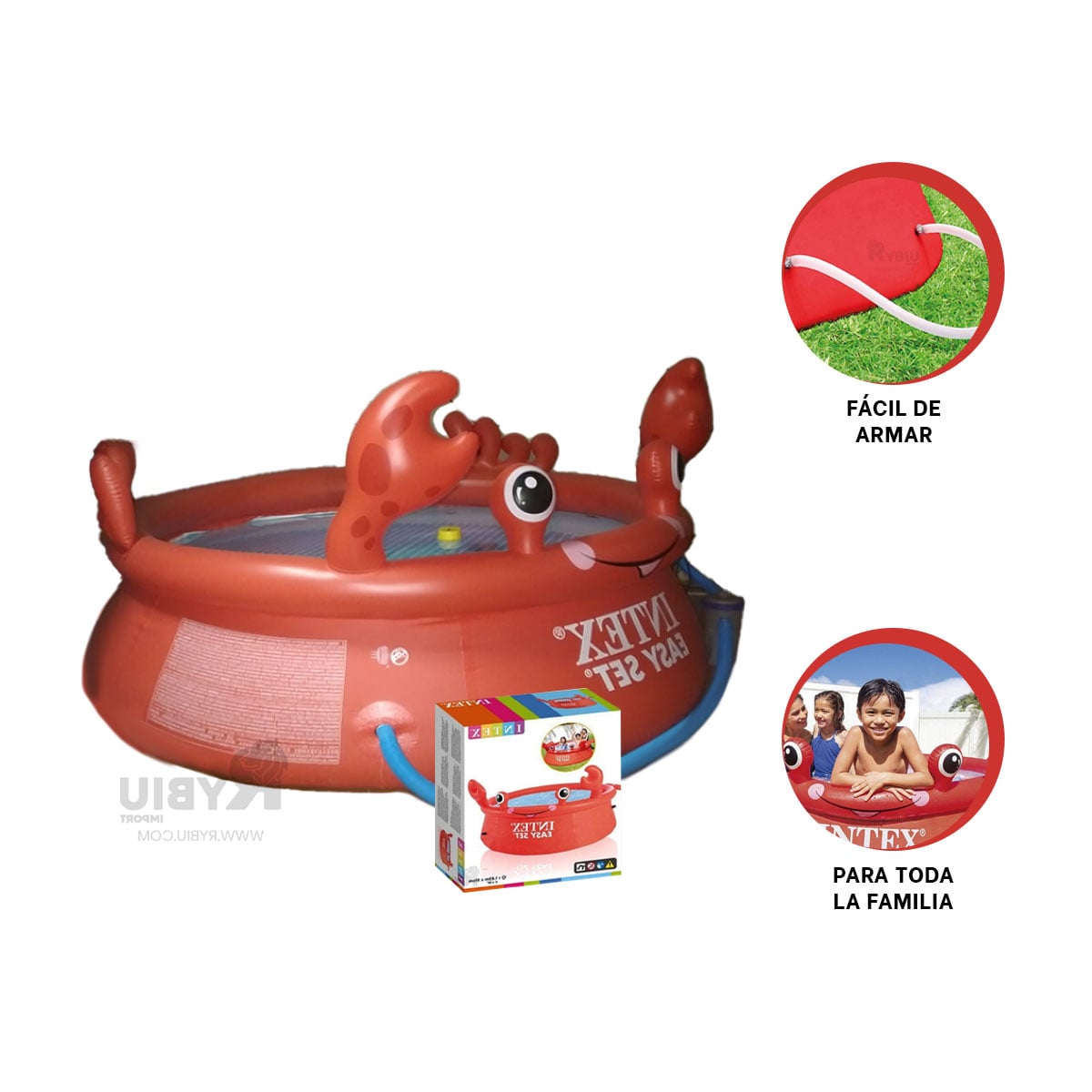 ALBERCA INFLABLE PARA ENTRETENIMIENTO Y+ENVOLTORIO DE REGALO - 3