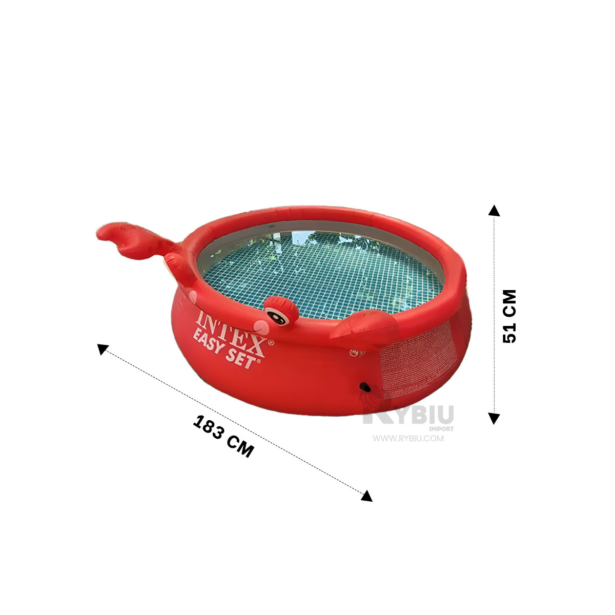 ALBERCA INFLABLE PARA ENTRETENIMIENTO Y+ENVOLTORIO DE REGALO - 5