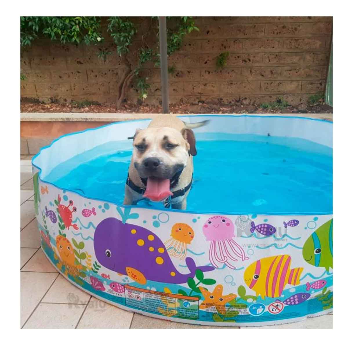 PISCINA ESPACIOSO EN TONO MULTICOLOR Y+PAPEL DE REGALO - 1