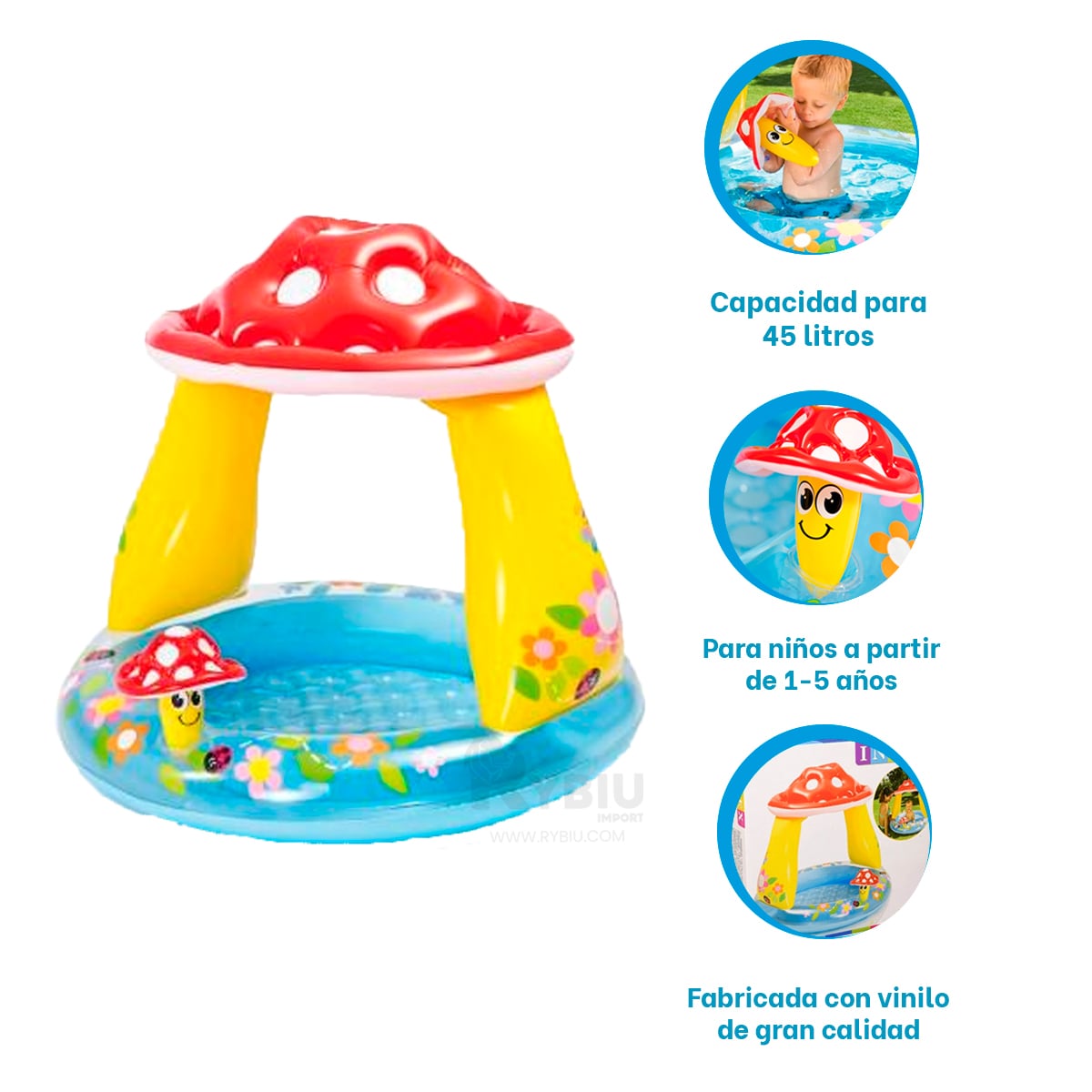 ALBERCA DE MODELO HONGUITO TONO MULTICOLOR Y+GIFT MINIAGENDA - 3