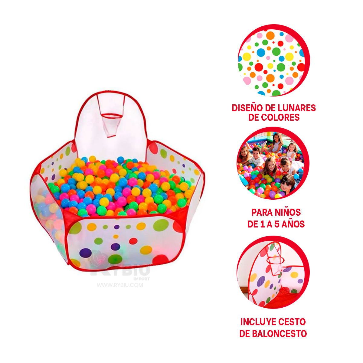 PILETA INFANTIL EN MULTICOLOR Y+REGALO LIGAS PARA PEINAR - 2