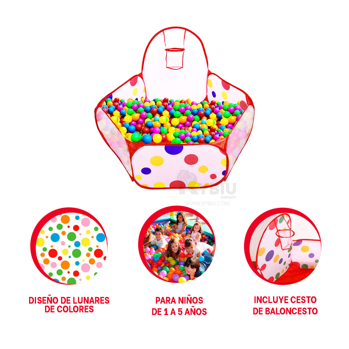 PILETA INFANTIL EN MULTICOLOR Y+REGALO LIGAS PARA PEINAR - 4