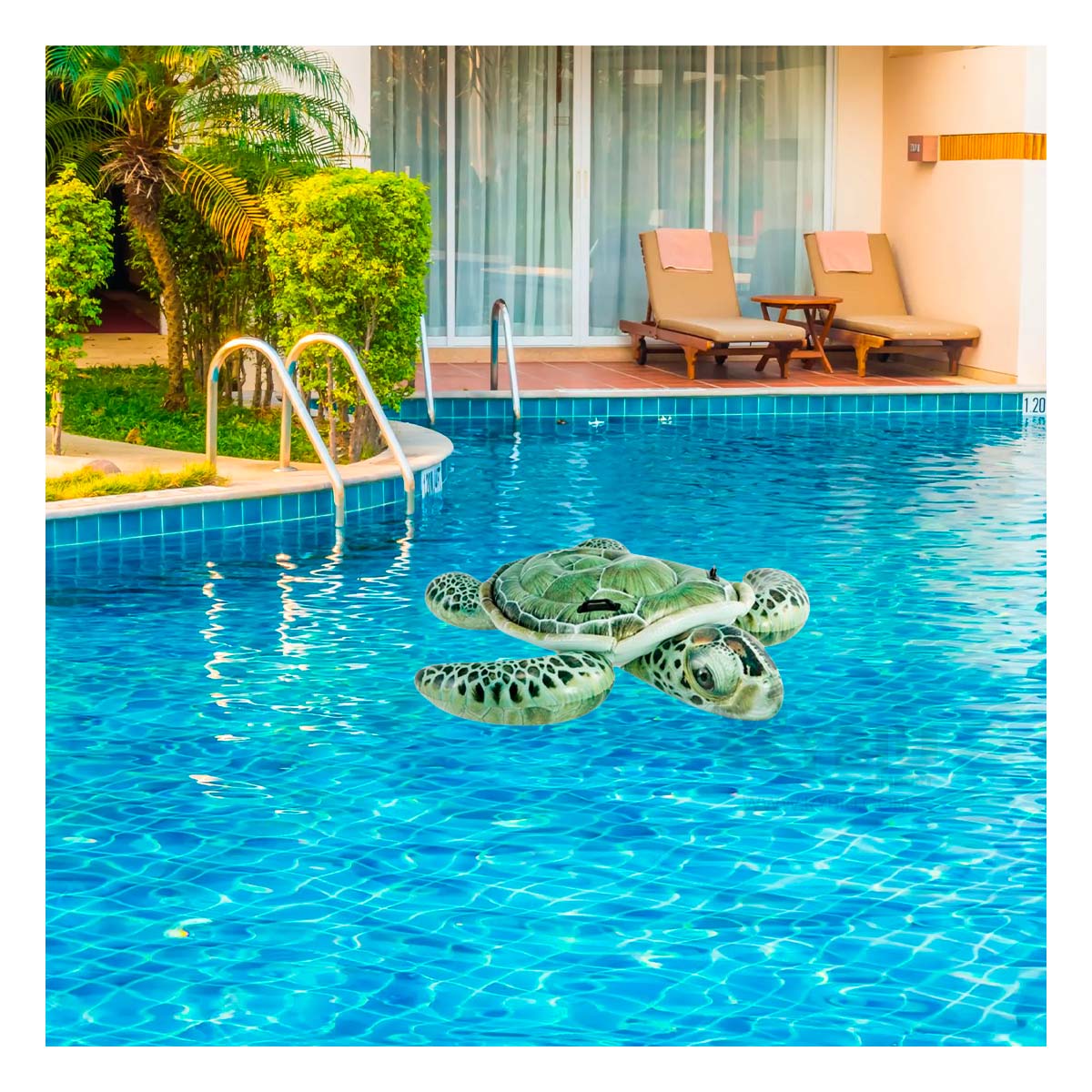 FLOTANTE INFLABLE DE TORTUGA Y+REGALO LIGAS PARA PEINAR - 1