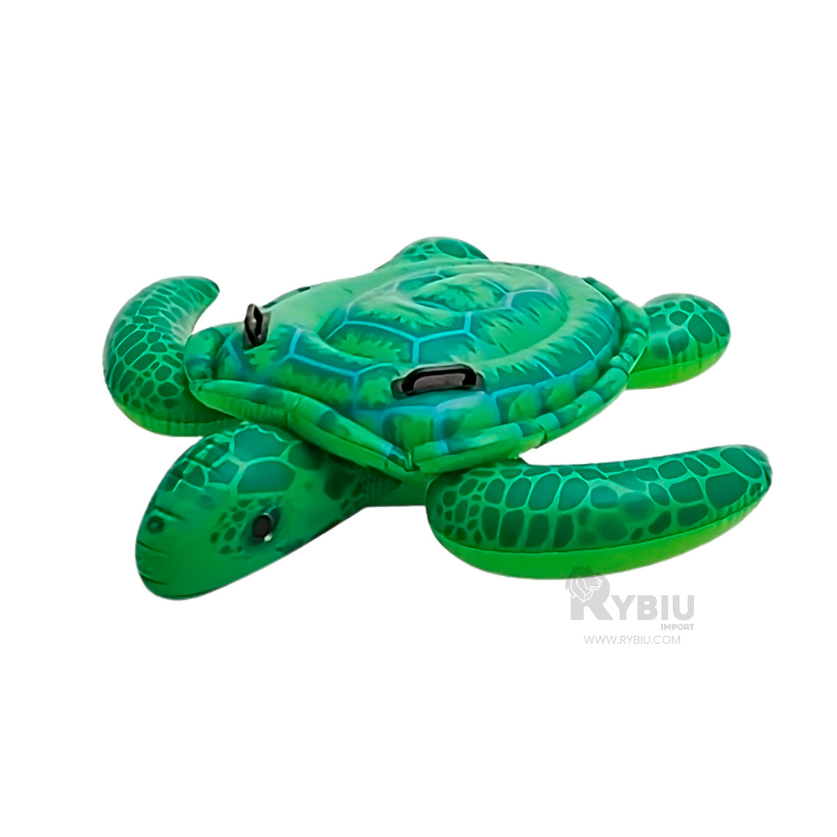 INFLABLE DE DISEÑO DE TORTUGA VERDE Y+REGALO AGENDITA - 4