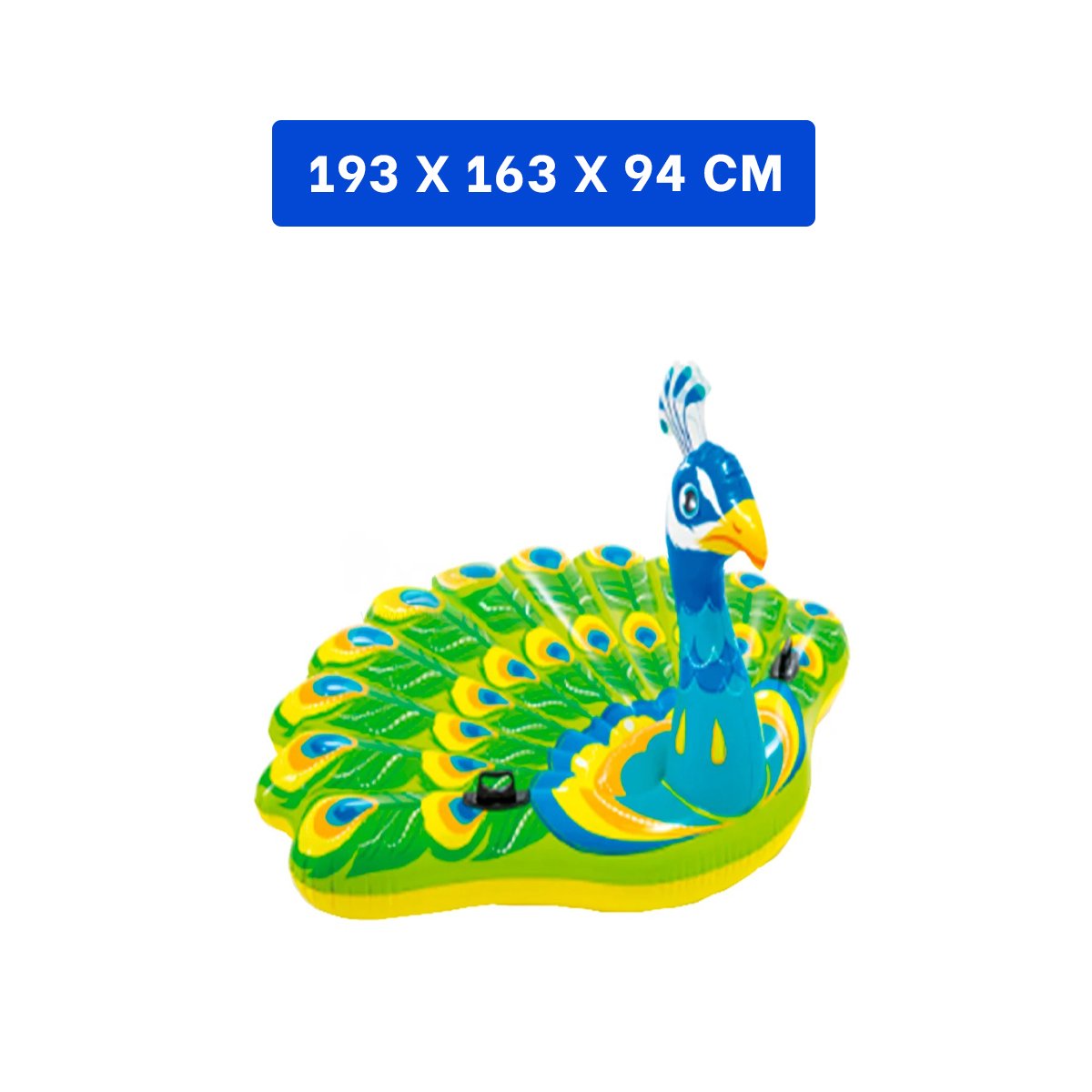 FLOTADOR PARA PISCINA DIVERTIDO PAVO REAL Y COLORIDO Y+POST IT - 4