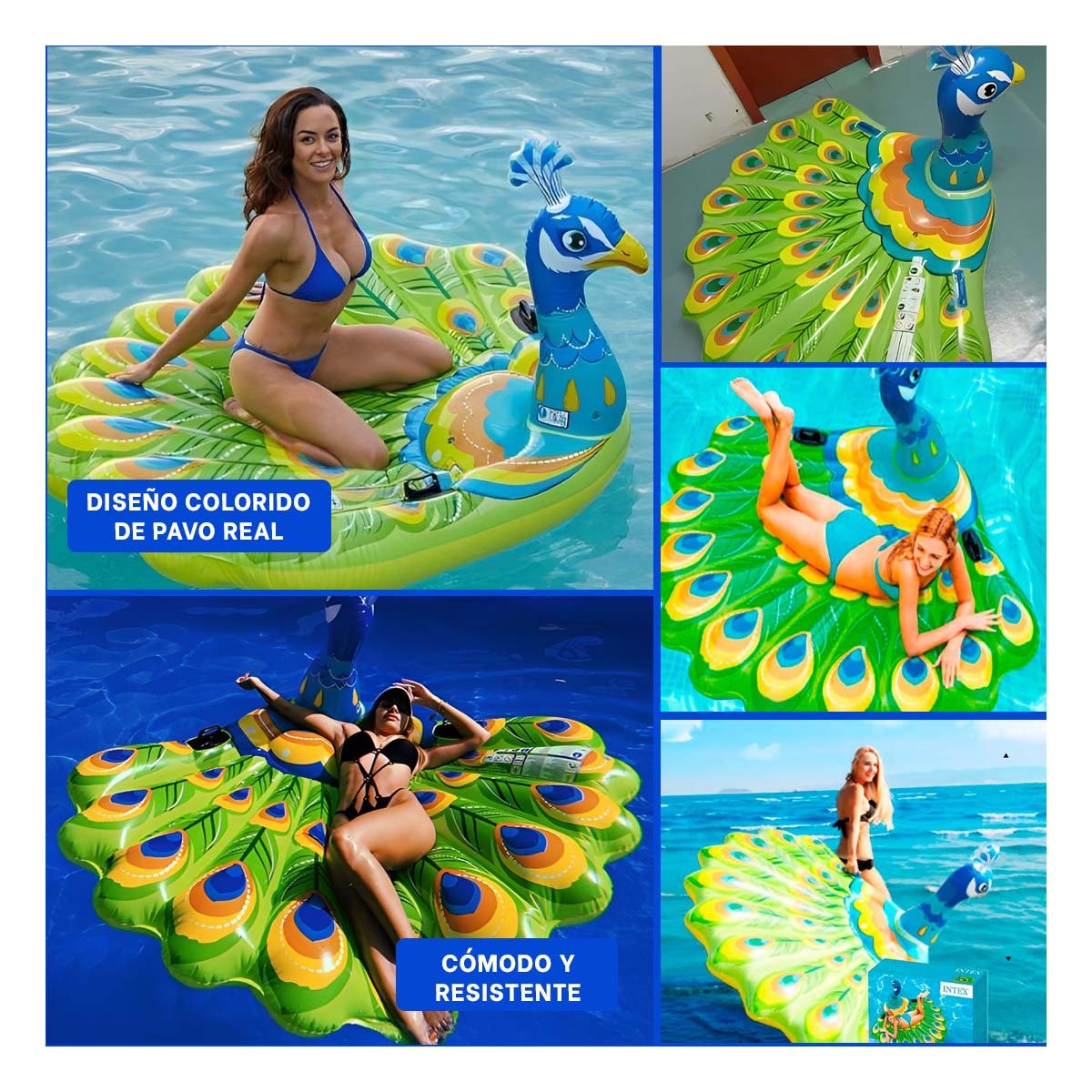 FLOTADOR PARA PISCINA DIVERTIDO PAVO REAL Y COLORIDO Y+POST IT - 5