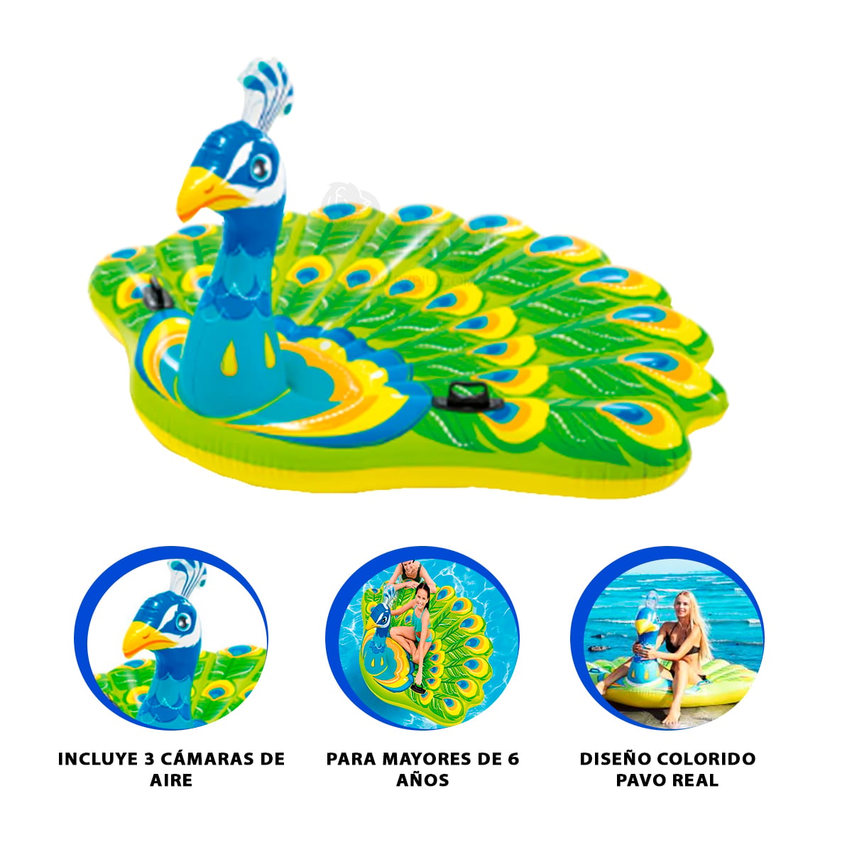 INFLABLE DE DISEÑO MODERNO FORMA DE PAVO Y+REGALO AGENDITA - 1
