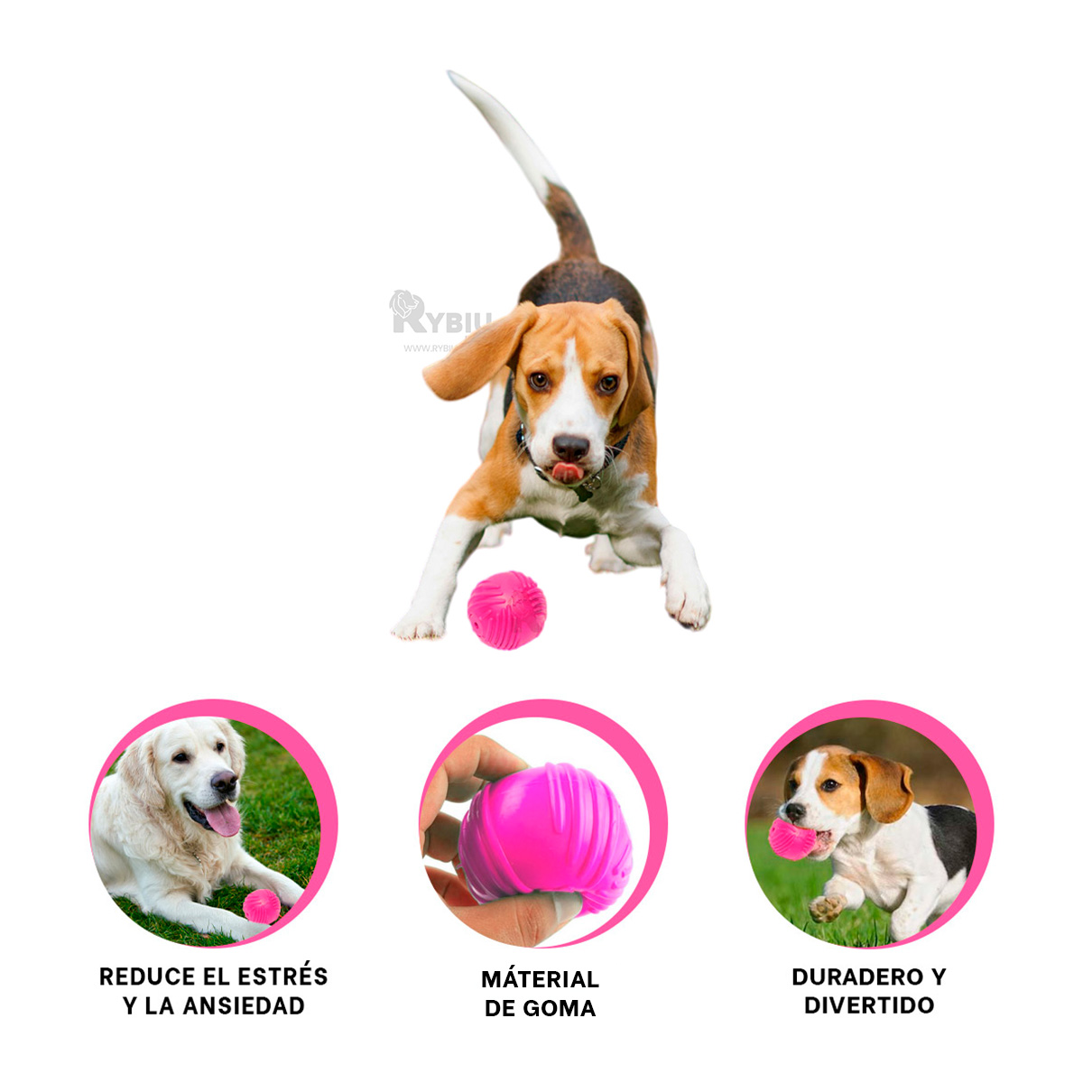 JUGUETE PERROS RYBIU DIVERTIDO DURADERO ROSADO + MINIAGENDA - 2