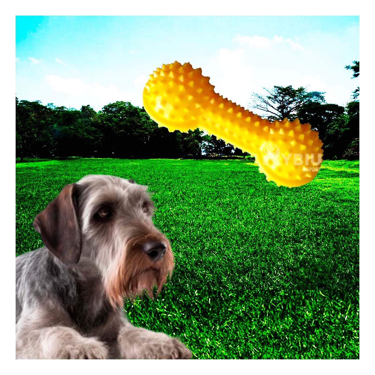 MASTICABLE PERROS RYBIU PLASTICO EN AMARILLO + BANDERITAS ADHESIVAS - 2