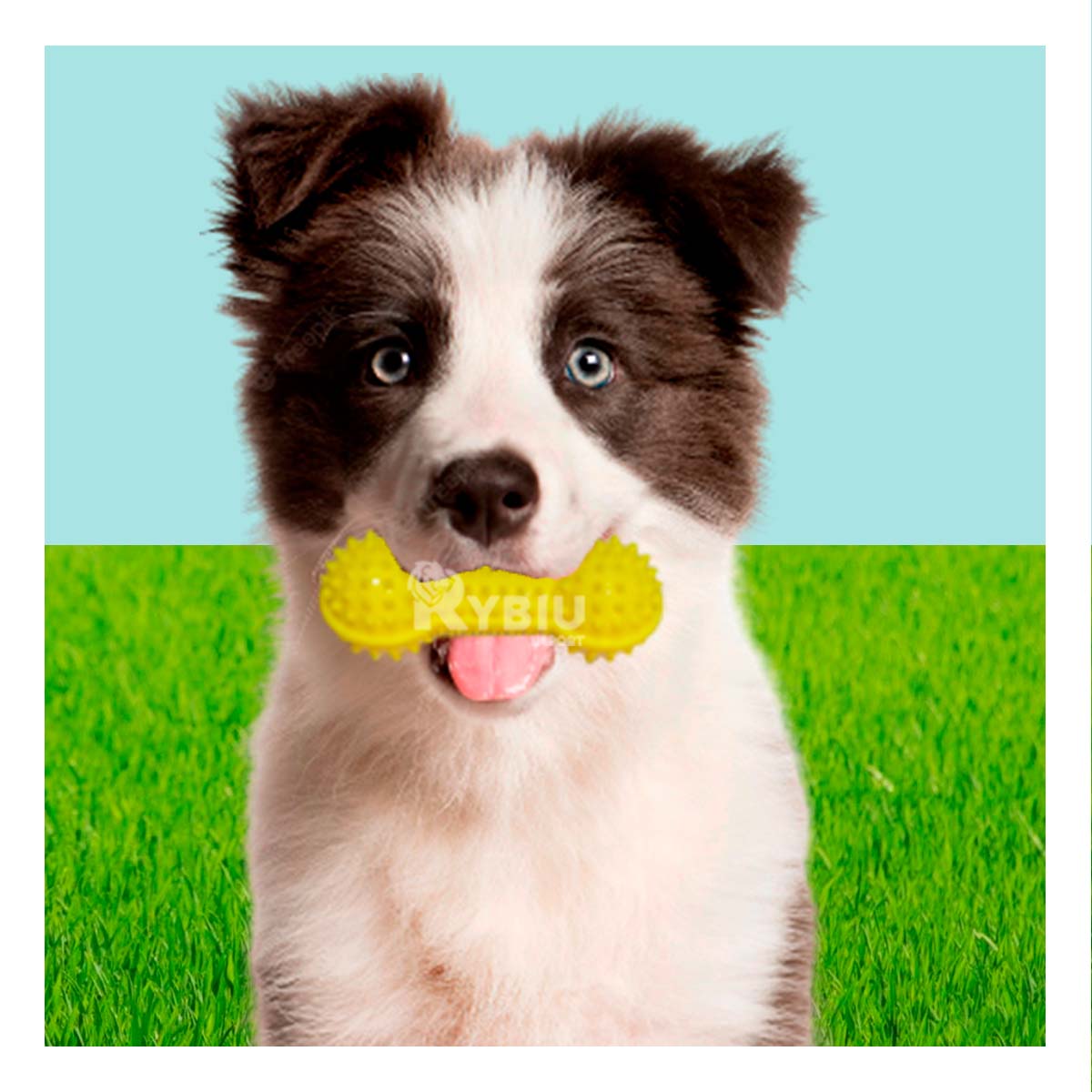 MASTICABLE PERROS RYBIU PLASTICO EN AMARILLO + BANDERITAS ADHESIVAS - 3