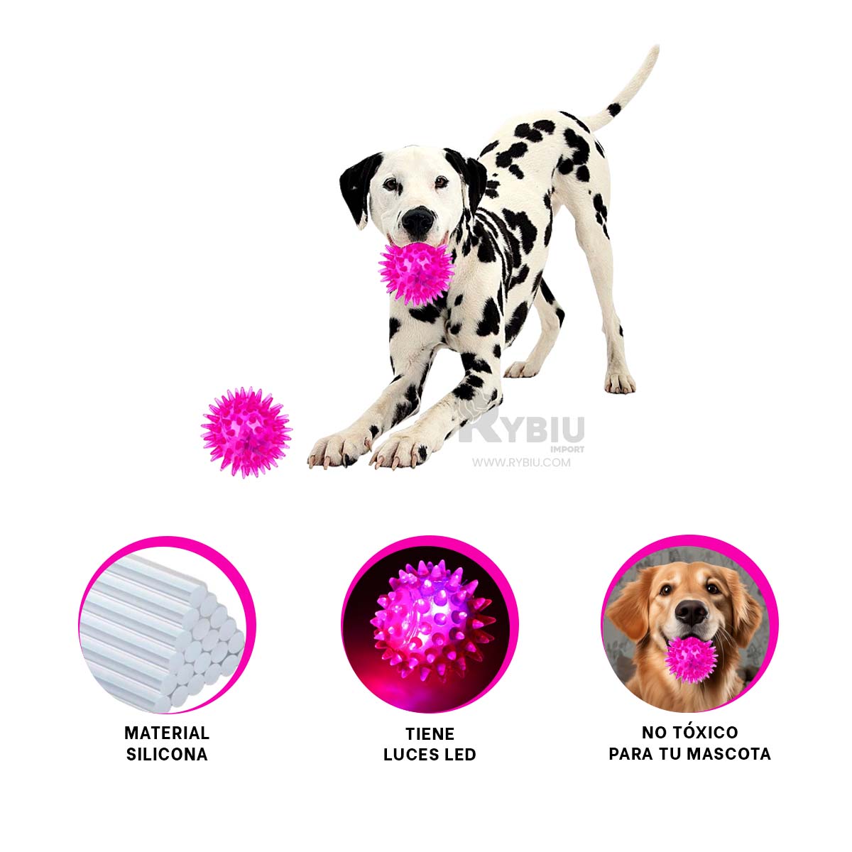 SET PERROS RYBIU DINAMICO PELOTAS EN ROSADO + PAPEL REGALO - 2