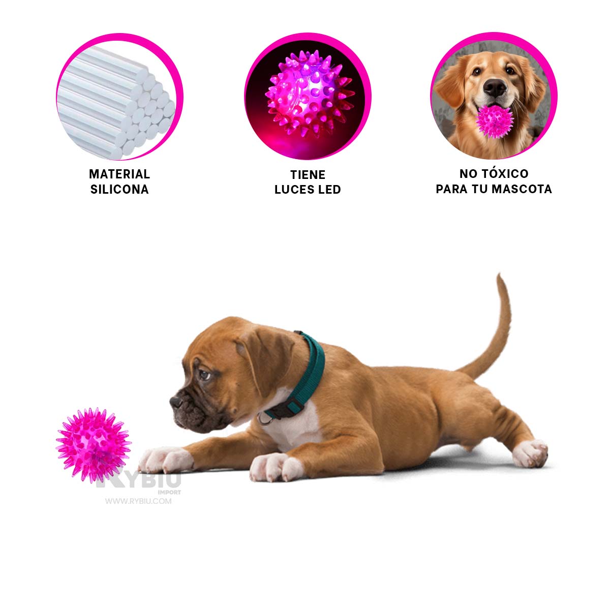 SET PERROS RYBIU DINAMICO PELOTAS EN ROSADO + PAPEL REGALO - 3