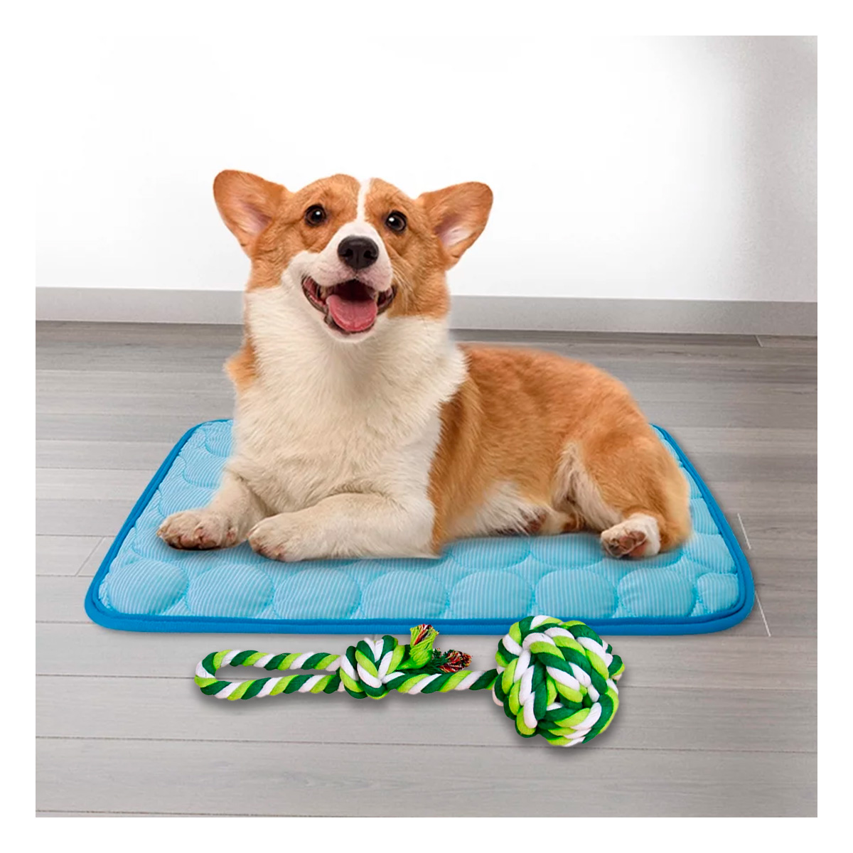 JUGUETE ALGODÓN PERROS RYBIU SOGA RESISTENTE VERDE + PAPEL REGALO - 1